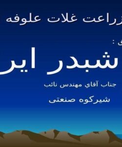 شبدر-ايراني