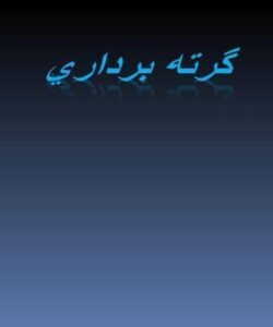 گرته-برداري