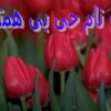 ارتباطات-بین-المللی