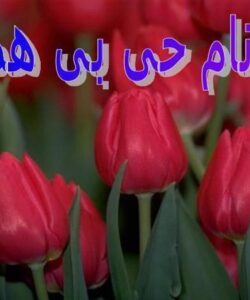 ارتباطات-بین-المللی