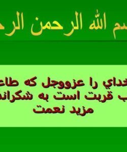 سازمان-تامين-اجتماعي-در-يك-نگاه