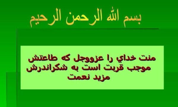 سازمان-تامين-اجتماعي-در-يك-نگاه