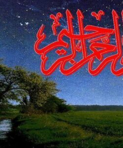 احكام-تقليد