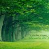 هنر-تندرست-ماندن
