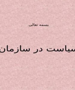 سیاست-در-سازمان