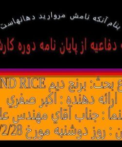 برنج-دیم