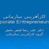کارآفرینی-سازمانی
