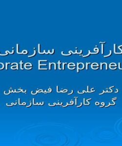 کارآفرینی-سازمانی
