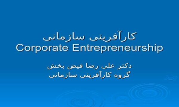 کارآفرینی-سازمانی