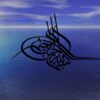 تعالی-سازمانی
