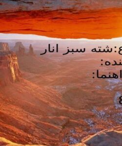 شته-سبز-انار