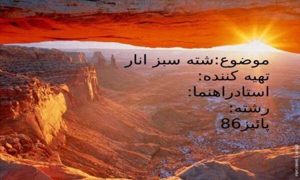 شته-سبز-انار
