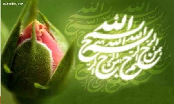 اخلاق-سفر