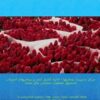 مدیریت-سندرومی-بیماران-آمیزشی
