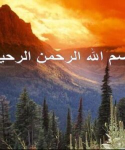 بستني-شكلاتي