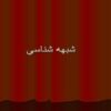 شبهه-شناسی