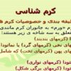 کرم-شناسی