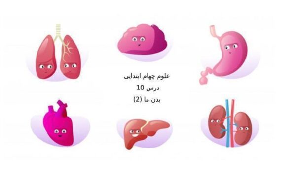 پاورپوینت-علوم-چهارم-درس-۱۰-بدن-ما-دو