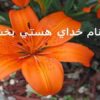 كمي-عميقتر-فكر-كنيد