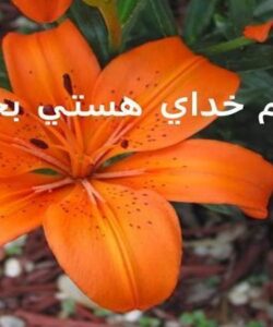 كمي-عميقتر-فكر-كنيد