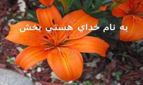 كمي-عميقتر-فكر-كنيد