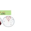 پاورپوینت-فارسی-چهارم-درس-۹-آزاد-زعفران-ضرب-المثل-خرس-آهنگر-نمره