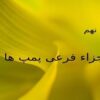 اجزاء-فرعی-پمپ-ها