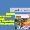 پاورپوینت-فصل-2-ریاضی-پنجم-کسر
