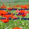 ساماندهي-فعاليت-مشاغل-خانگي-در-قالب-تعاونيهاي-تأمين-نياز-مشاغل