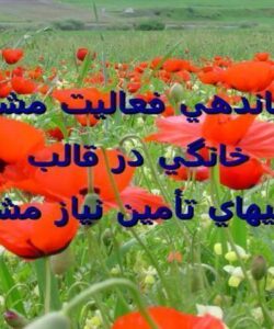 ساماندهي-فعاليت-مشاغل-خانگي-در-قالب-تعاونيهاي-تأمين-نياز-مشاغل
