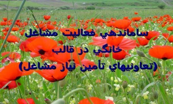 ساماندهي-فعاليت-مشاغل-خانگي-در-قالب-تعاونيهاي-تأمين-نياز-مشاغل