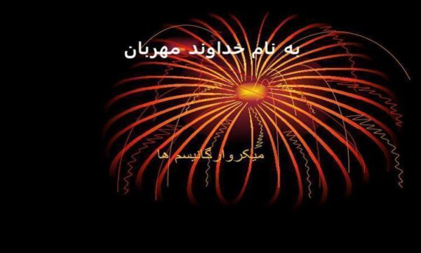 میکروارگانیسم-ها
