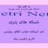 شبکه-های-پتری