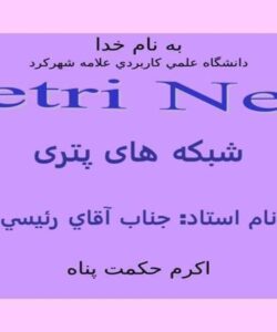 شبکه-های-پتری