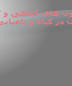 همرمون-های-گیاهی