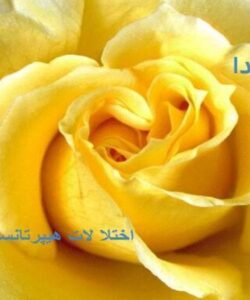 اختلالات-هیپر-تانسیو-حاملگی