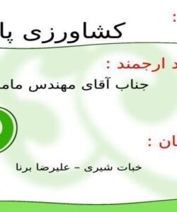 کشاورزی-پایدار