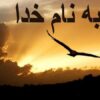 شبه-پتانسیل