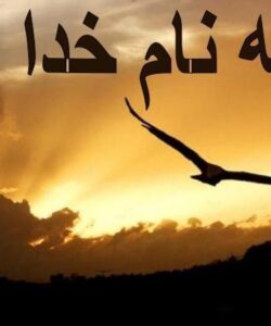 شبه-پتانسیل