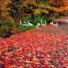 تیروئید