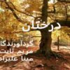 درخت
