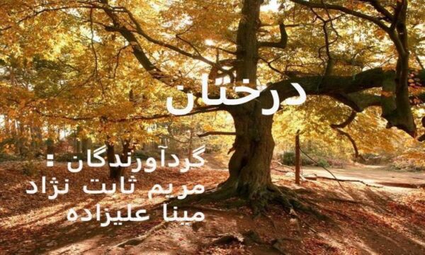 درخت