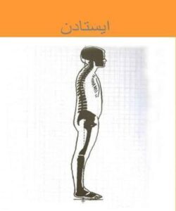 ایستادن