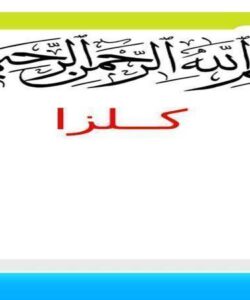 کلزار