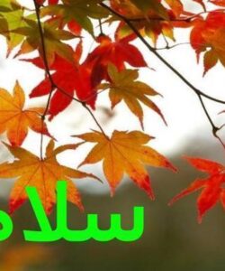 سلامت
