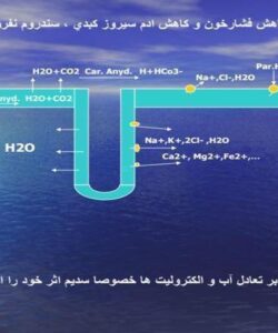 مدرها