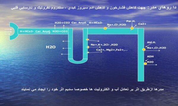 مدرها