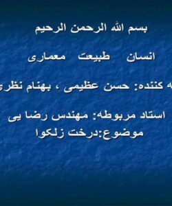درخت-آزاد