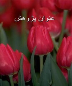 بررسي-اثر-بخشي-آموزش-گروهي-مهارت-حل-مسأله-در-افزايش-عزت-نفس-و-سازگاري-اجتماعي-دانشجويان-دختر