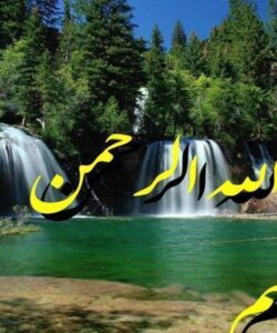 مددکاری-اجتماعی-گروهی